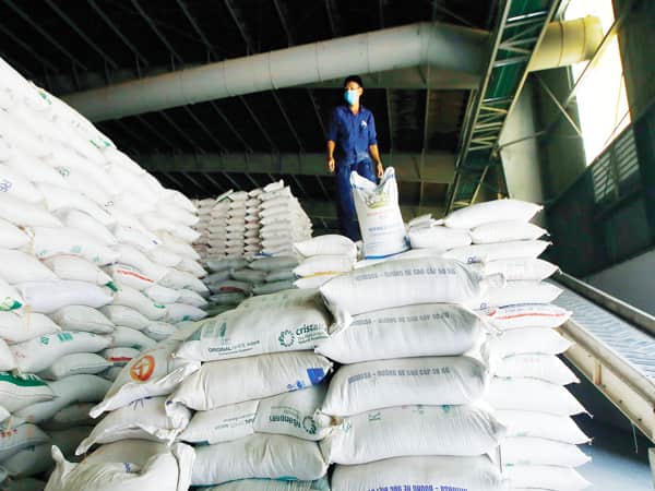 Giá gạo xuất khẩu những năm qua