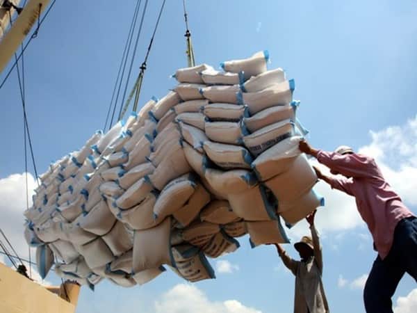 Nguyên nhân giá gạo xuất khẩu Việt Nam tăng cao nhất thế giới