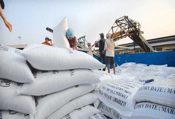 Quy trình xuất khẩu gạo bằng đường biển chi tiết