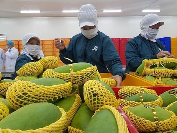 Xuất khẩu rau quả Việt Nam