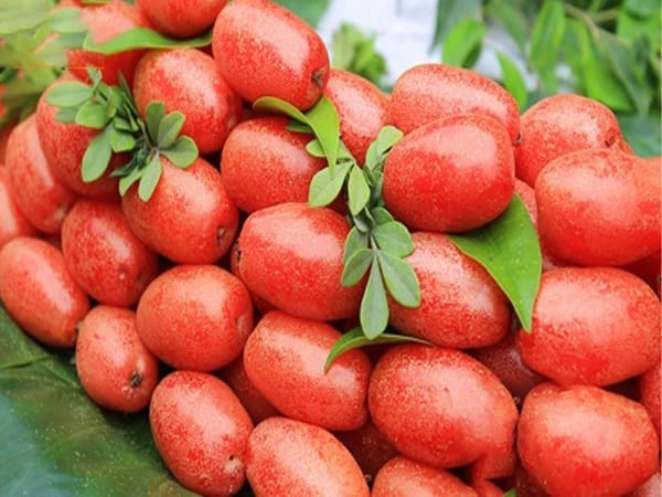 Đi đường thấy quả nhót chua điềm gì