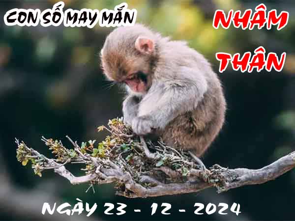 Con số may mắn tuổi Nhâm Thân ngày 23/12/2024 thứ 2 hôm nay