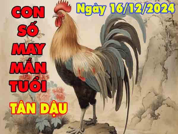 Cặp số đẹp may mắn tuổi Tân Dậu ngày 16/12/2024 thứ 2 hôm nay