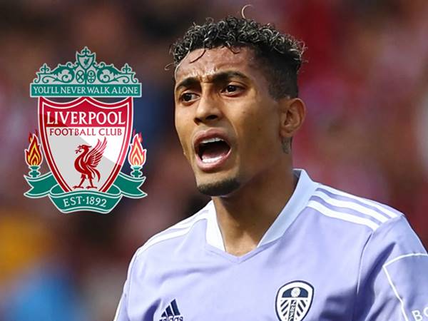 Tin Liverpool: Liverpool sẵn sàng phá két cho Raphinha Tin Liverpool: Liverpool sẵn sàng phá két cho Raphinha